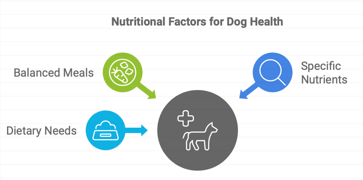 Unleash the Best: Top Nutritional Secrets for Your Dog's Optimal Health Revealed"